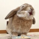 국가대표 탑 태권도 이미지