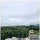 김양기공인중개사사무소 이미지