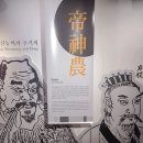 127차('26.1.29, 목) -1 제기동,청량리 동네한바퀴(선농단/세종대왕기념관/제기동약령시장 등)(리딩 아침향기님) 이미지