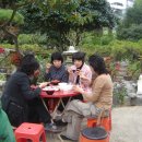 청목장갑 이미지