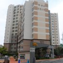 진해대로-3 이미지