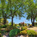 국수나무 무주점 이미지