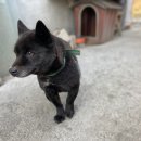 단석리산촌생태마을 이미지