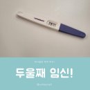 미사라엠산부인과의원 | [용용이] 갑작스런 둘째 임신과 임신 확인 과정