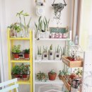 정원에 머물다 이미지