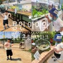 용인 아이와 시간 가는 줄 몰랐던 용인 곤충테마파크