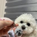 몽실이 노래연습장 이미지