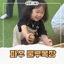 인원목장 | 룰루목장 | 파주 아이와 동물 먹이주기·감자 캐기 체험 내돈내산 후기