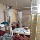 오행쑥뜸 이미지