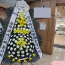 금관대로 | [김해시민장례식장 근조화환 후기]금관대로꽃집 나니플라워의 조의와 품격을 담은 추모꽃 배송 이야기