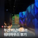 헬렌비(HELLEN.B) | 부산 아난티 코브 수영장 총정리 │ 요금, 운영시간, 워터하우스 후기까지!
