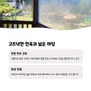 메밀꽃 필 무렵 코스 | 부여 메밀꽃필무렵 분위기,맛 다 잡은 롯데리조트 인근 맛집 추천