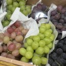 연치과기공소 이미지