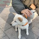 반야월연합의원 이미지