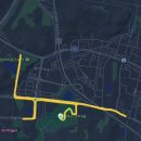 영남의원 | 제18회 영남일보 국제하프마라톤 대회 10km 후기
