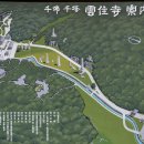 백합장 | 184. 백여든네번째 여행 화순 운주사(1)