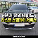 일산 팰리세이드 신차패키지 - 루마버텍스 900 썬팅, PPF, 세차 및 오존살균탈취 그리고 라스트 스텝...