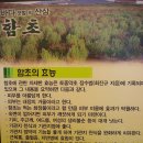 연다향