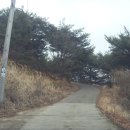 솔방마을 이미지