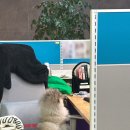 (주)에스디메디칼 이미지