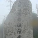 야생화숲 이미지