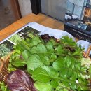 심원농장 이미지