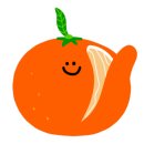 제주 플로라 이미지