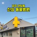 야당마을동물병원 이미지