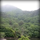 주산지 티스토리