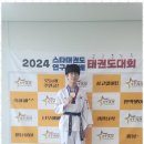 스타태권도장 이미지