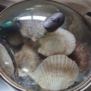 진이네민박 이미지