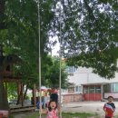 청화산캠프 관광농원 이미지