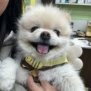 선동물병원 이미지