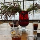 매그네이트 이미지