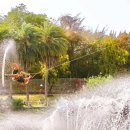 로터스테마투어 이미지