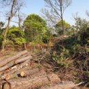 당수공인중개사사무소 이미지