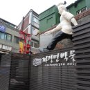 짜장면박물관 Daum카페