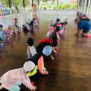 바다유치원 이미지