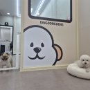 딩동댕 펫살롱 이미지