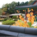 상국농장 이미지