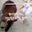 보부상길 (신흥떡방앗간) | 돌고 돌아 나에게로