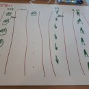 너래안농장 이미지