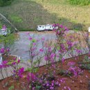 불정자연휴양림캠핑장 이미지