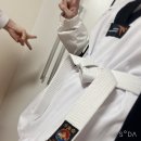 미라클태권도장 | 성인 태권도 3개월차 후기!(미라클 태권도)