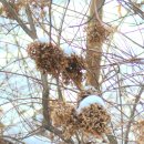 함평자연생태공원 이미지