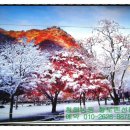 맘보민박 이미지