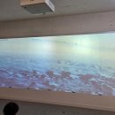 제노스템 이미지