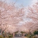 세탁좋은날 이미지