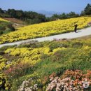 미당시문학관 관광안내소 이미지