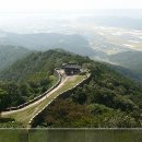 성락농장 Daum카페